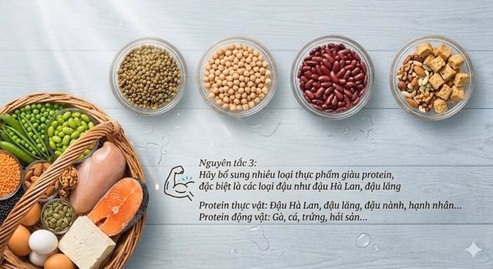 Protein từ thực vật không chỉ cung cấp đạm mà còn giàu chất xơ và không chứa cholesterol.